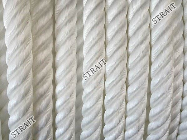 Corrugated Polypropylene Board